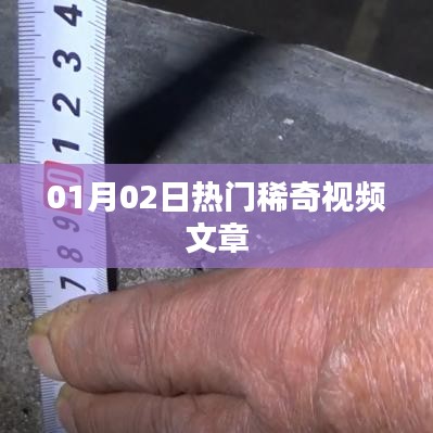 热门稀奇视频文章，最新精彩内容一网打尽