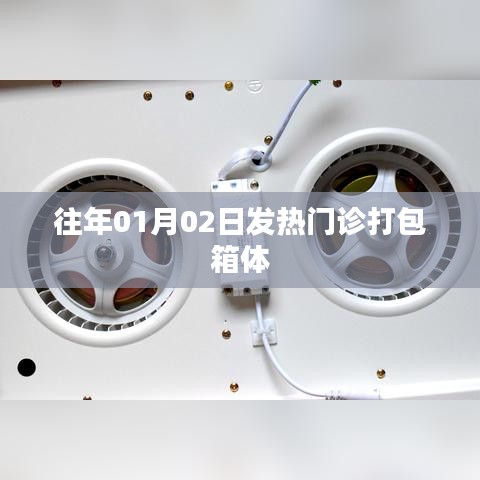 往年元旦后发热门诊打包箱体介绍