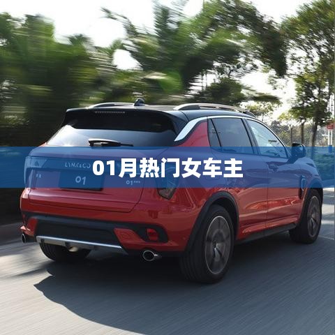 热门女车主风采盘点