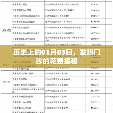 揭秘，历史上发热门诊费用一览（精选标题）