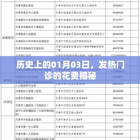 揭秘,历史上发热门诊费用一览(精选标题)