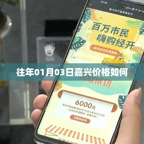 嘉兴历年一月份价格概览