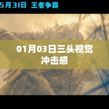 三头视觉盛宴,01月03日的震撼瞬间