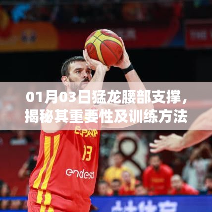 猛龙腰部支撑的秘密，重要性及训练技巧