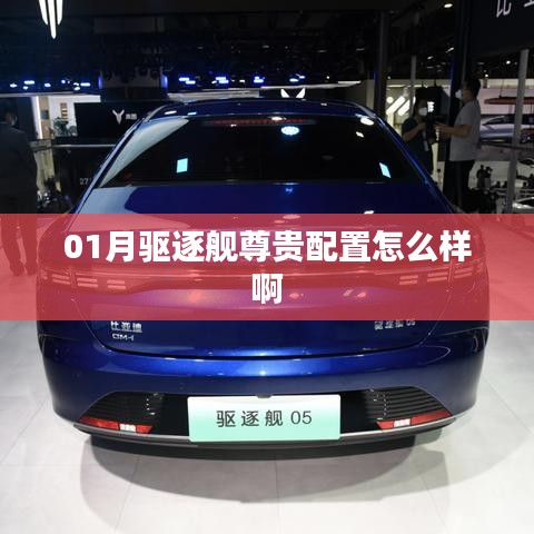 01月驱逐舰尊贵配置深度解析