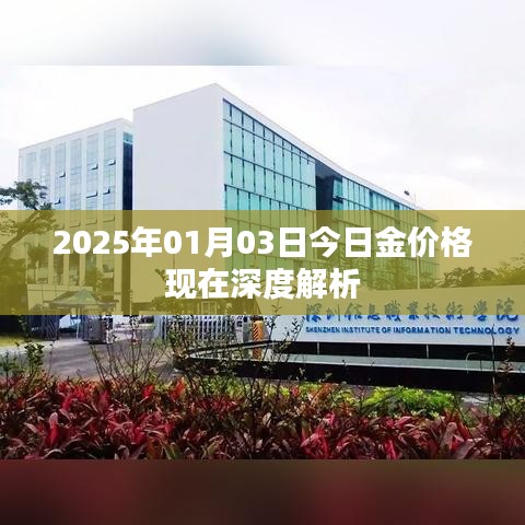 2025年1月金价深度解析，今日金价格走势分析