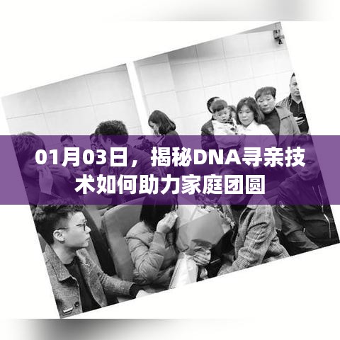 揭秘DNA寻亲技术助力家庭团圆，技术背后的故事