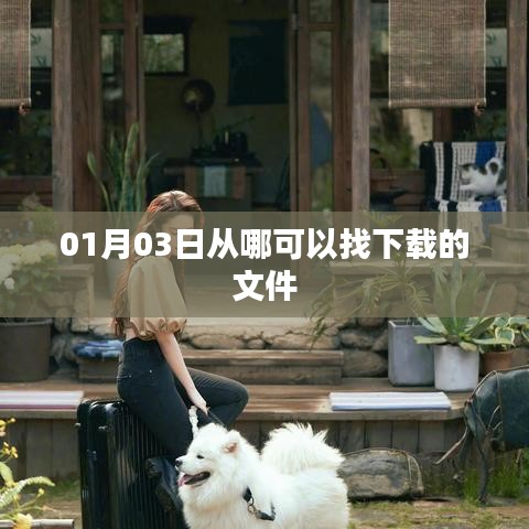 如何找到下载文件的来源日期?