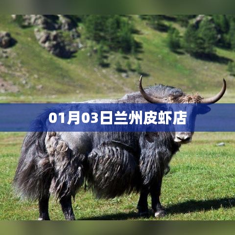 兰州皮虾店新鲜美食尝鲜日