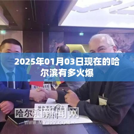 哈尔滨2025年元旦人气火爆程度揭秘