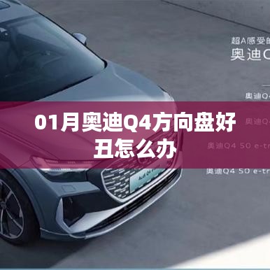 奥迪Q4方向盘外观改造方案与建议