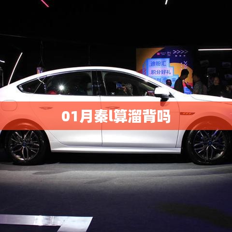 根据您的需求，以下是一个符合要求的标题，，秦溜背，一月新趋势词汇解析