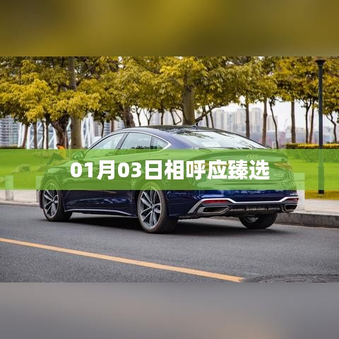 01月03日精选好物推荐