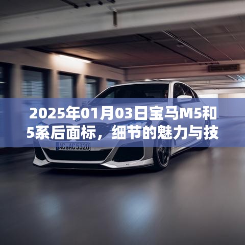 宝马M5与5系细节革新，技术升级与标志魅力