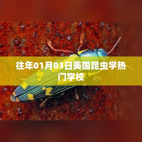 美国昆虫学热门学校历年招生概览