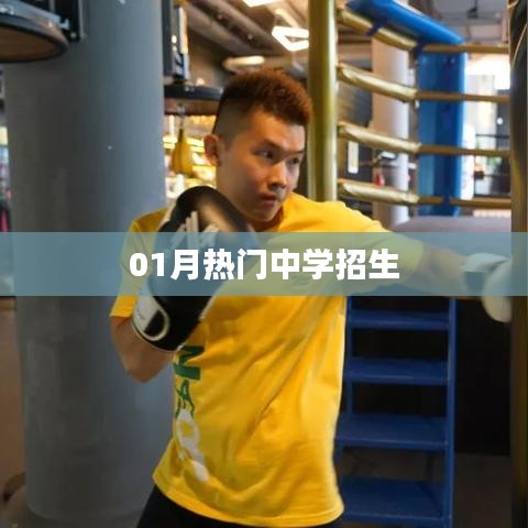 产品展示 第252页