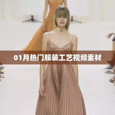 精选服装工艺视频素材，一月热门盘点