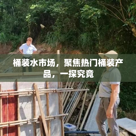 桶装水市场热门产品深度解析