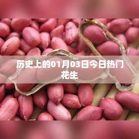 案例展示 第251页