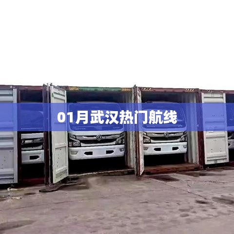 武汉一月热门航线