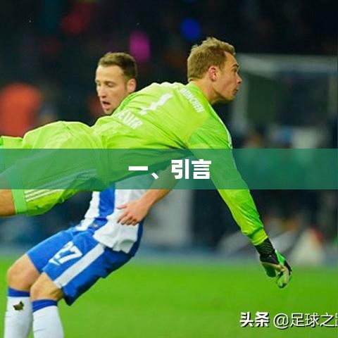 优质文章引言,引人入胜,开启阅读之旅