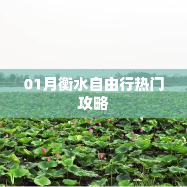 衡水自由行一月攻略推荐