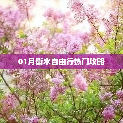 衡水自由行一月攻略推荐