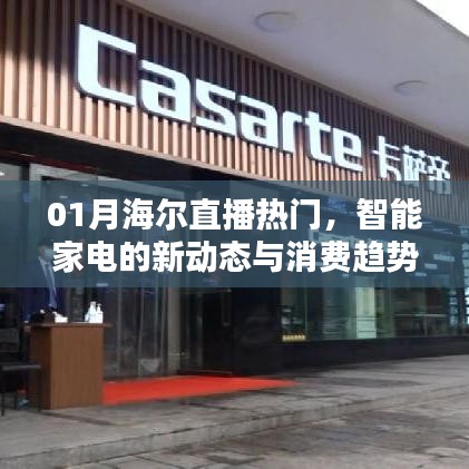 海尔智能家电直播新动态与消费趋势分析