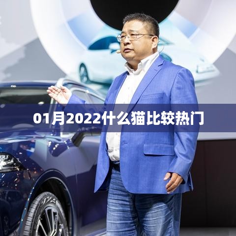 2022年1月热门猫咪品种盘点