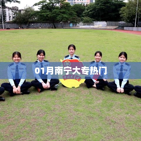 南宁热门大专专业榜单揭晓