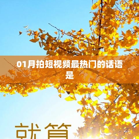 联系我们 第253页