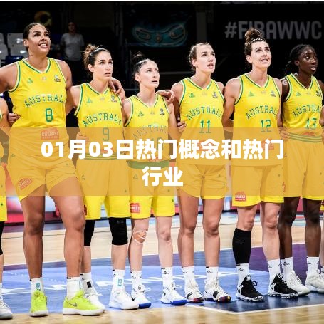 热门概念与行业的最新动态（日期，01月03日）