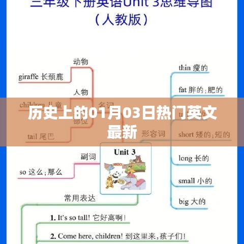 案例展示 第250页
