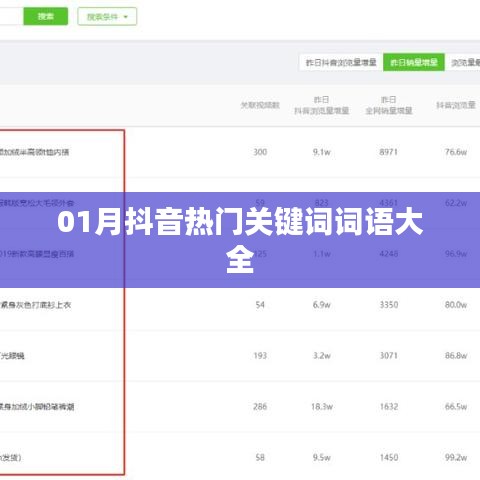 抖音热门关键词一月全收录