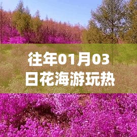 花海游玩热门榜单揭晓,不容错过的盛景盛事!