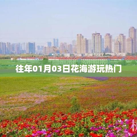 花海游玩热门榜单揭晓,不容错过的盛景盛事!