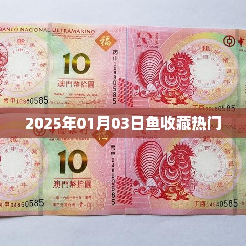 2025年1月3日,鱼收藏大热趋势展望