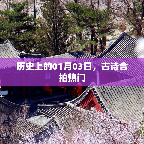 古诗合拍热门,历史一月三日回顾