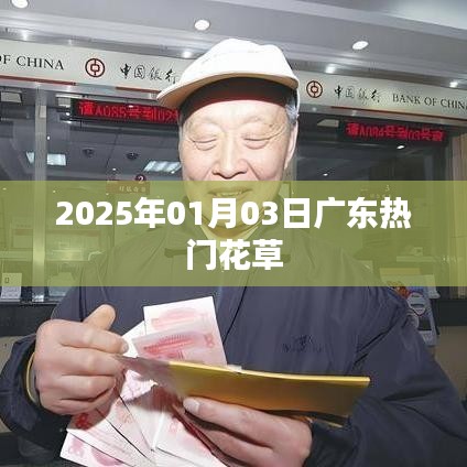 广东热门花草,2025年1月3日盛况