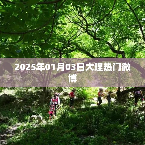 『大理微博热搜榜 2025年1月3日热门话题』