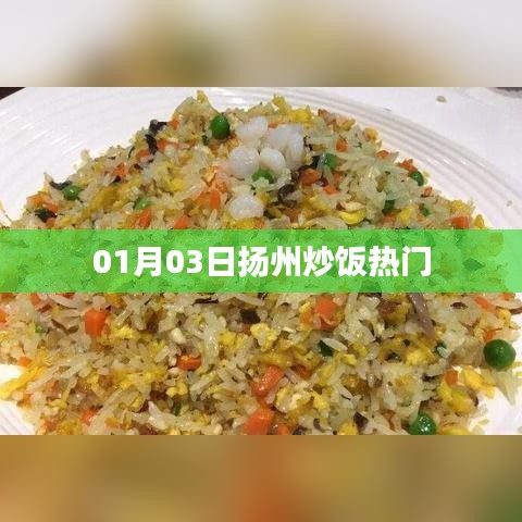 扬州炒饭最新热门动态,一月份新动向揭秘