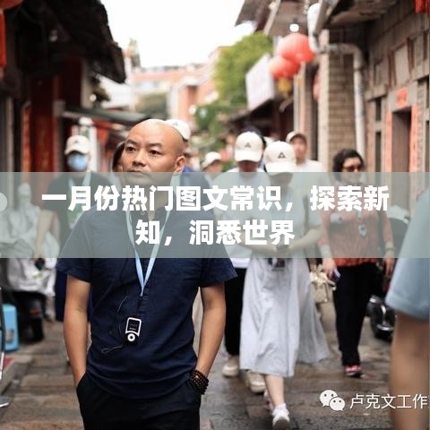 一月份热门图文常识，探索新知视界