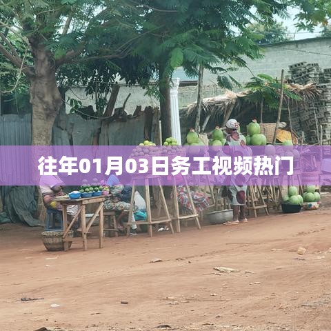 案例展示 第248页