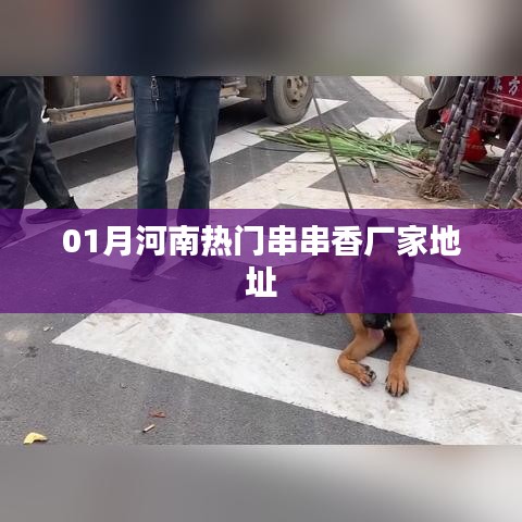 河南热门串串香厂家一月热门地址汇总
