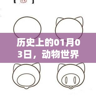 历史上的今日，动物世界搞笑视频风靡全网