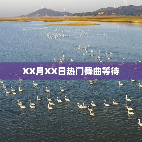 XX月XX日热门舞曲火热来袭