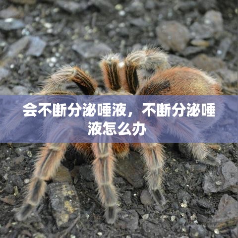 会不断分泌唾液，不断分泌唾液怎么办 