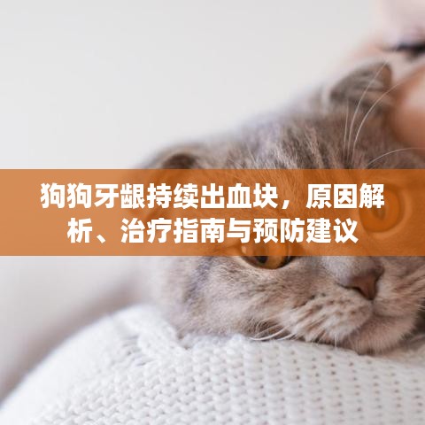 狗狗牙龈持续出血块，原因解析、治疗指南与预防建议