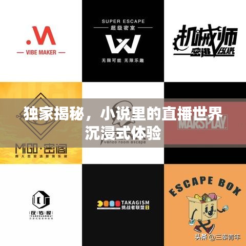 独家揭秘，小说里的直播世界沉浸式体验