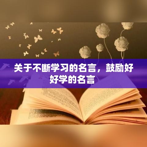 关于不断学习的名言,鼓励好好学的名言